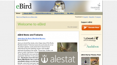 ebird.org