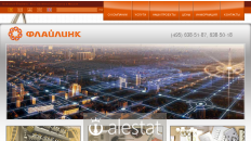 flylink.ru