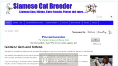 siamese-cat-breeder.co.uk