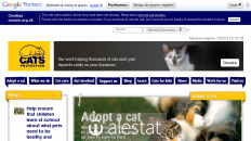 cats.org.uk