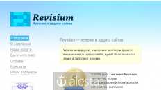 revisium.com