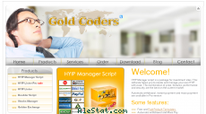 goldcoders.com