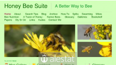 honeybeesuite.com