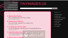 tinyimages.us