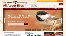 allaboutbirds.org