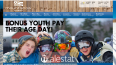 mountsnow.com