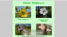 illinoiswildflowers.info